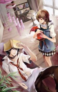 金牌王妃